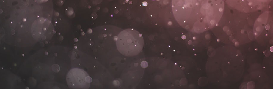daniela Cover Image